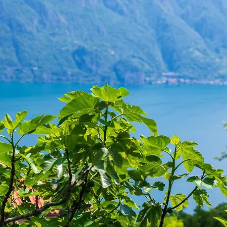 Italian - Garden Iseo *