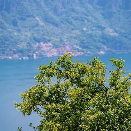 Italian - Garden Iseo Apartment Fonteno