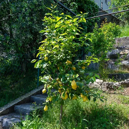 Italian - Garden Iseo Apartment *